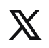 X (ex Twitter)